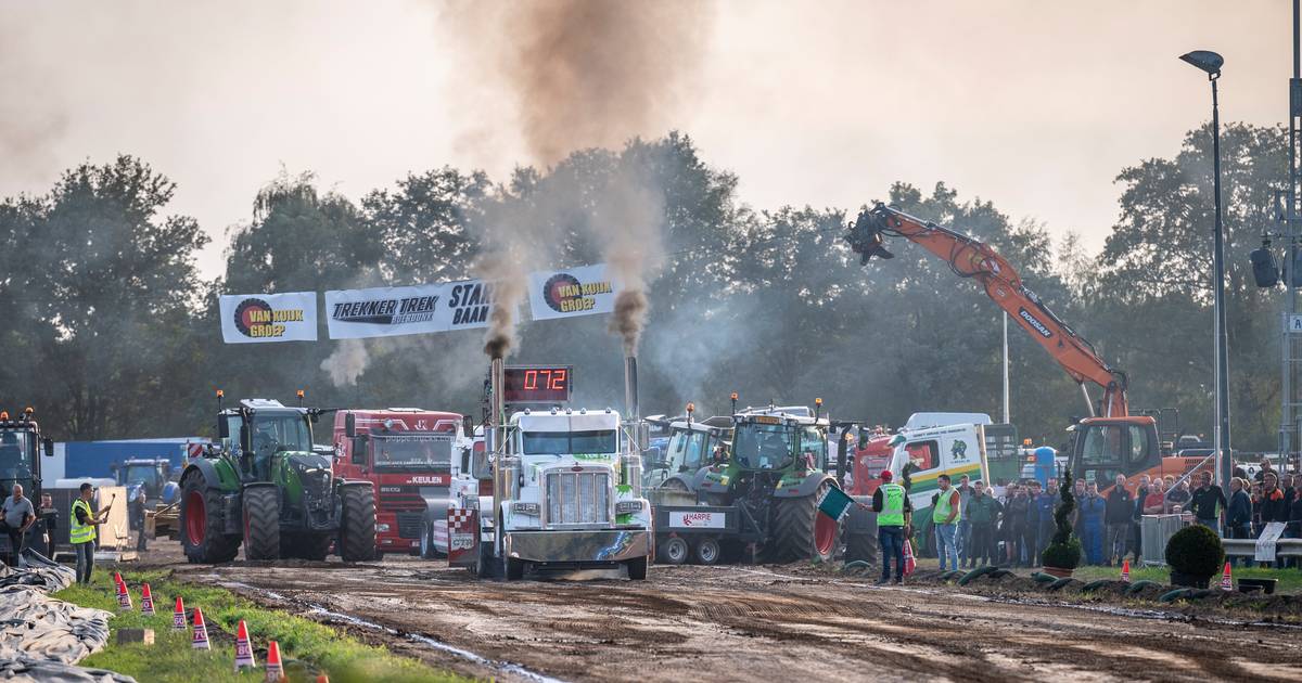 Set van vier nylon banden balans gewicht schrapers met