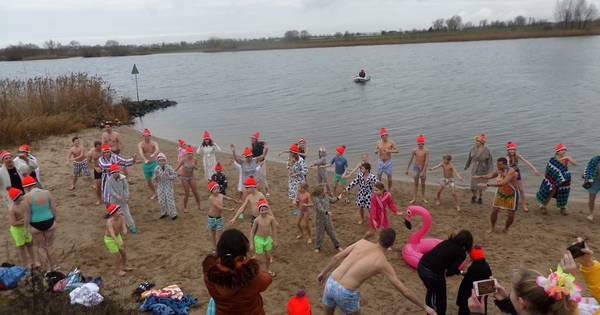 Nieuwjaarsduik Andel weer professioneler aangepakt | Waalwijk, Heusden eo - BD.nl