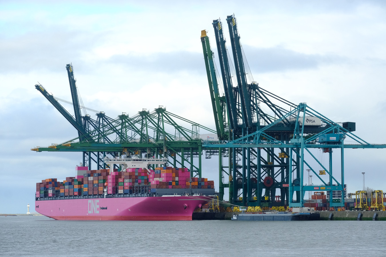 ader Bezienswaardigheden bekijken keuken Roze schip voor anker in Antwerpse haven | Foto | pzc.nl