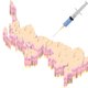 Nu al een goedgekeurd vaccin: Wat weten de Britten wat Europa niet weet?