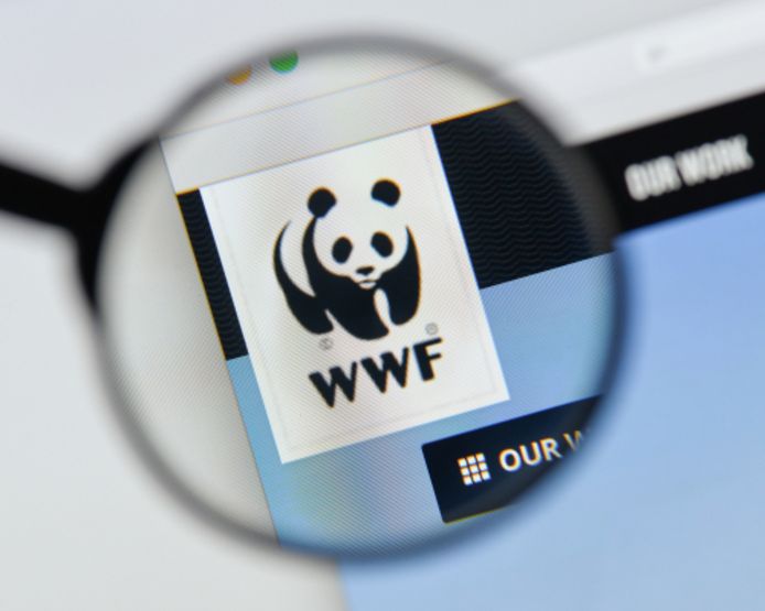 Homepage WWF-website.