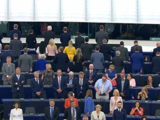 Brexit-partij keert Europees parlement de rug toe tijdens volkslied