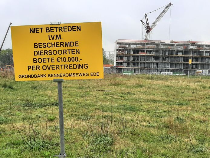Een waarschuwingsbord bij een braakliggend terrein naast de Edese Enkawijk. Betreding van het terrein kan je een boete tot 10.000 euro opleveren. De reden daarvan? De teunisbloempijlstaart.