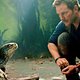 Chris Pratt in 'Jurassic World': 'Ik heb veel geluk gehad met de keuzes die ik maakte'