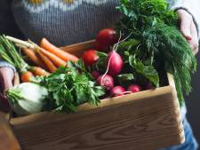Les Halles se multiplient dans la région de Charleroi