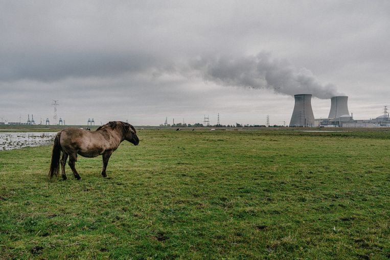 De kerncentrale in Doel. Beeld Wouter Van Vooren