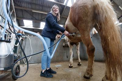 Studenten bezoeken paardenmelkerij De Edelweiss: 'Paardenmelk is niet vies!'