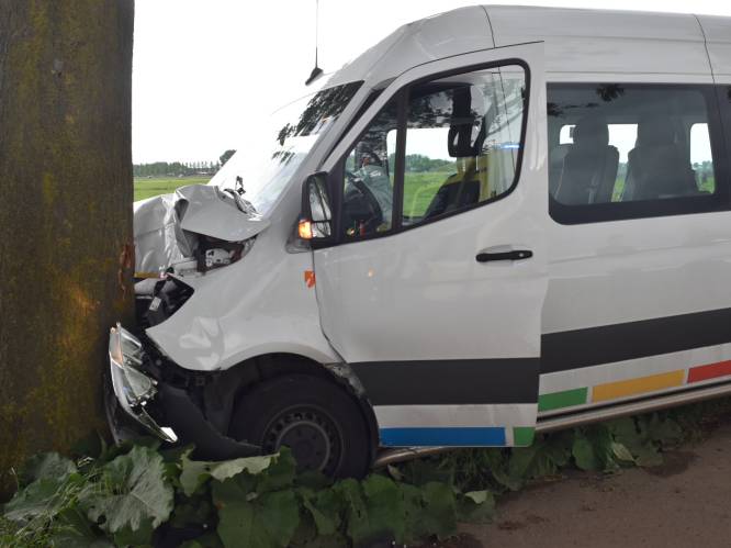 78-jarige vrouw overleden door klap tegen boom met taxibus, bestuurder gewond naar het ziekenhuis 