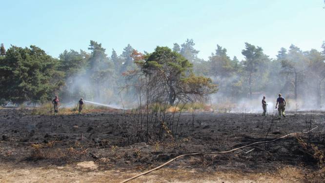 Experts waarschuwen voor toename onbeheersbare natuurbranden in Nederland