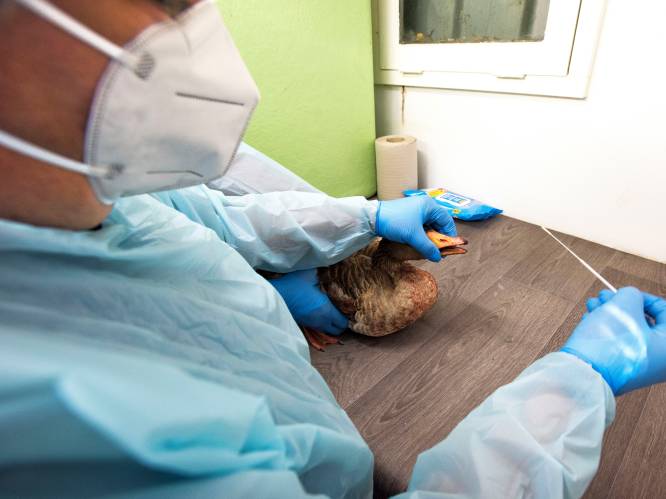 De Ronde Venen moet in eerste zes maanden van dit jaar onderdak regelen