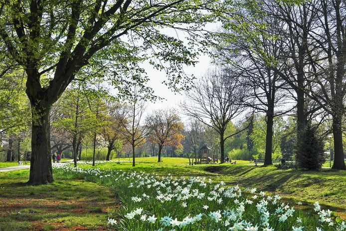 Het Vogelzangpark in Veldhoven.