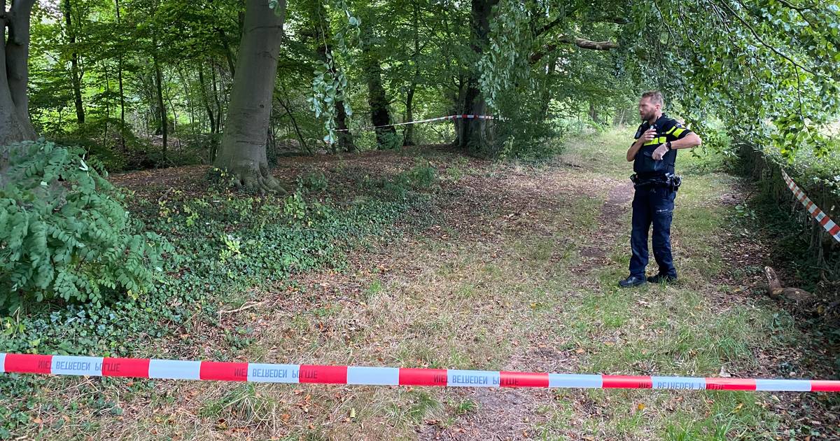 Runners in Deventer attacked by man: police are looking for a possible armed perpetrator en masse  Deventer