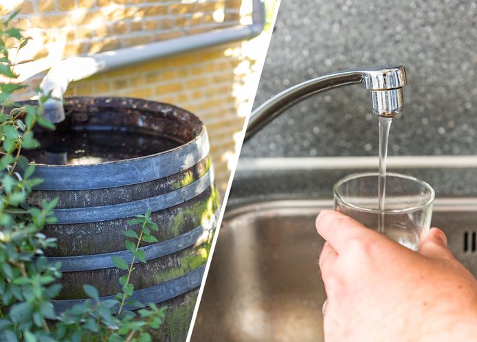 Slim Kopen: 9 Essentiële tips voor de perfecte kraan – Paul Roescher