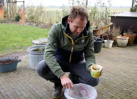 Zó verwijdert boer Tom groene aanslag van zijn terras