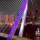 Extreem-rechtse groep eist op Telegram racistische projectie Erasmusbrug op
