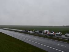 Aanrijding in file voor Westerscheldetunnel, weg weer open