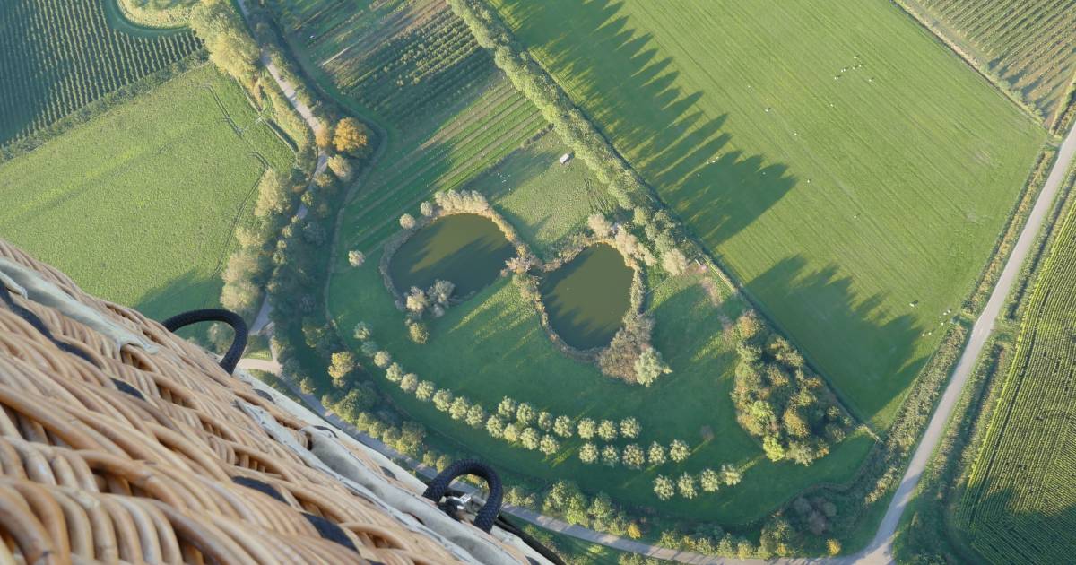 MIJN FOTO | Bril gevonden
