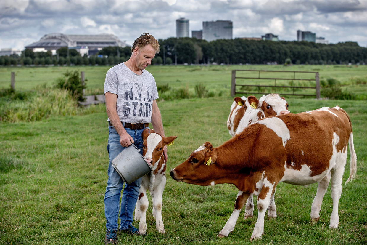 Boer Gerard Stam uit Ouderkerk aan de Amstel: ‘Vanwege het landschap zijn de boerenbedrijven hier in de polder kleinschalig.’