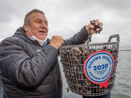 Fabeltjes doorgeprikt: ‘Die Zeeuwse mossel kan ook zomaar een Deen zijn’