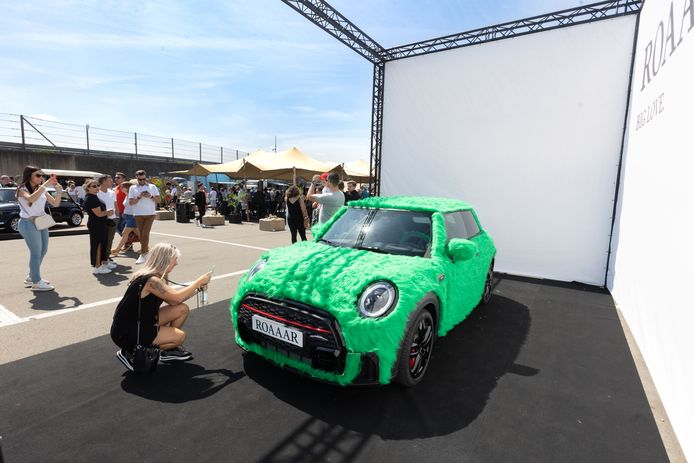 MINI's in alle geuren en kleuren zakten af naar Zolder. Zelfs fluffy exemplaren!