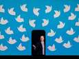 Twitter maakt toegang voor externe ontwikkelaars betaald