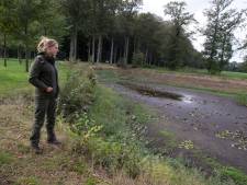De bodem als vergiet, langzaam droogt het landgoed uit