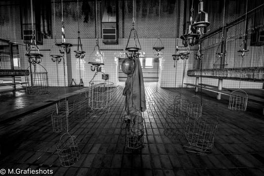 Moreno Molenaar/M.Grafieshots