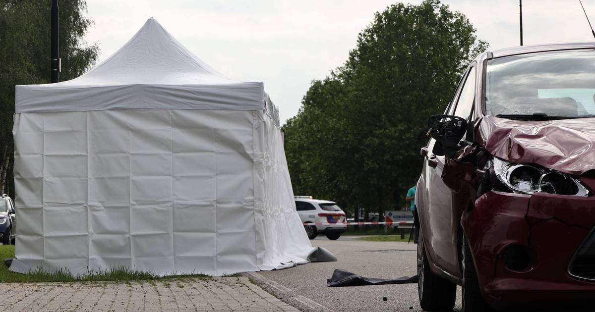 Bestuurder van scootmobiel overleden na aanrijding met auto in Oss.