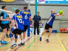 Mannenvolleybal in verval: Flamingo’s trekt zich terug, Volt degradeert vrijwillig
