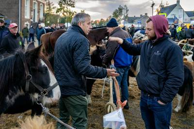 Einde van een traditie? Handjeklap is op Paarden­markt Hedel bijna niet meer te zien
