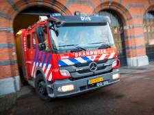 Drie paarden omgekomen bij schuurbrand in Hoogkerk