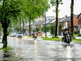 In verschillende delen van Oosterhout is maandagmiddag wateroverlast ontstaan na hevige regenval.