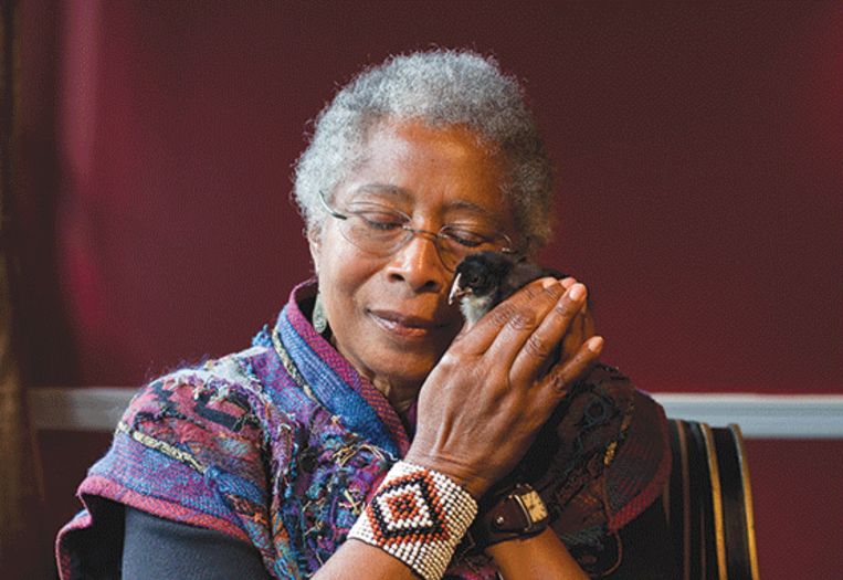 Pulitzerwinnares Alice Walker wenst soms dat ze meer was zoals haar kippen. Beeld Harley Soltes