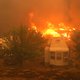Noodtoestand in Californië vanwege door hittegolf aangewakkerde natuurbranden
