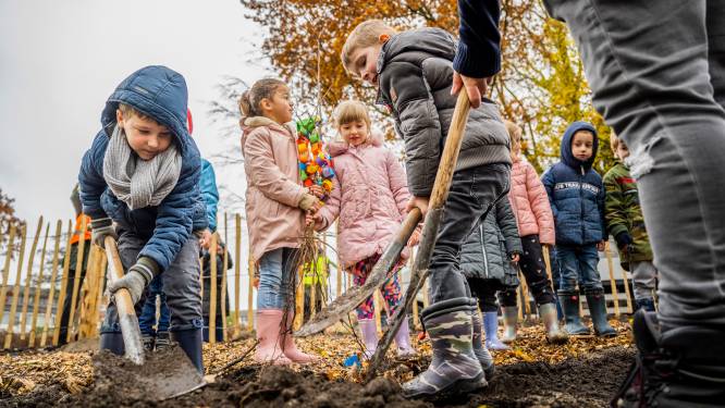 Overal ontstaan tiny forests: ‘De natuur prikkelt de fantasie en je kunt er tot rust komen’