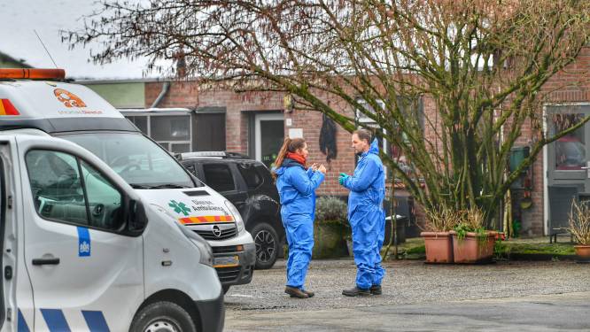 Fokker uit Eersel krijgt meegenomen honden niet terug