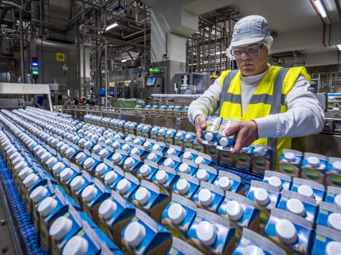 ‘Extra belasting vlees en zuivel raakt mensen met smalle beurs’ 