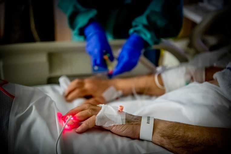 Een patiënt op de ic in Alkmaar. Het kabinet geeft de voorkeur aan loting bij te ­weinig ic-bedden om iedereen te helpen, tot ongenoegen van veel artsen.  Beeld Robin Utrecht