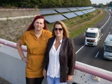 ‘Gratis stroom’ uit zonnepark langs A58 blijkt behoorlijk aan de prijs
