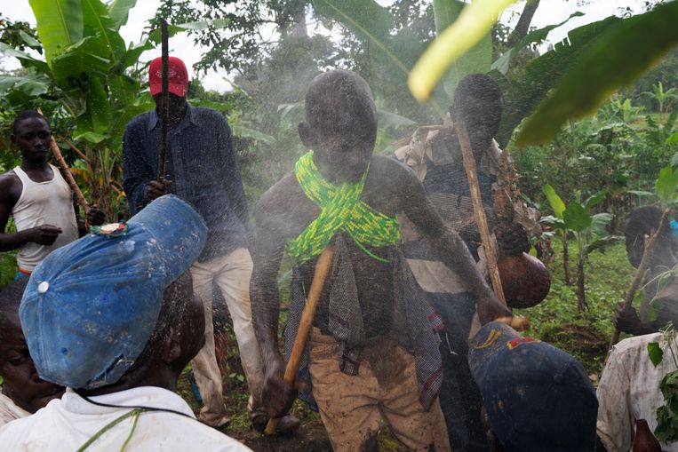 Rituele Besnijdenis Wordt Bij De Oegandese Bagisu Haast Een Daad Van Verzet De Volkskrant