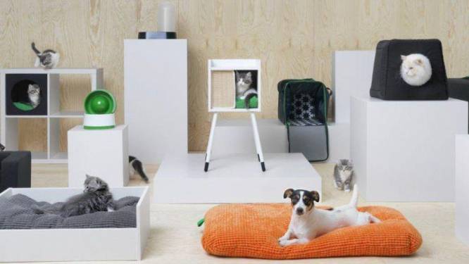 Stijlvol en budgetvriendelijk: Ikea lanceert eerste lijn voor honden en katten