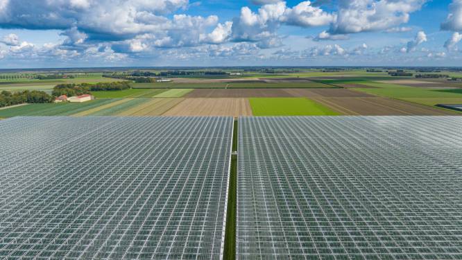 Gemert-Bakel overweegt aanleg van grootschalig zonnepark in plaats van meerdere, kleinere parken
