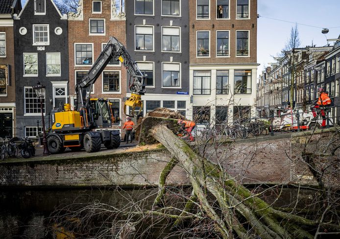 Een boom in Amsterdam is in de gracht gevallen.