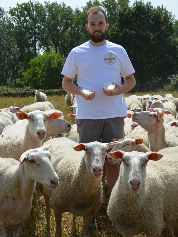 Laurens De Middeleer van schapenmelkerij Bosschelle in Denderhoutem (Haaltert) is met zijn Vlaamse schapenplattekaas finalist voor de nationale titel van Het Streekproduct 2019.