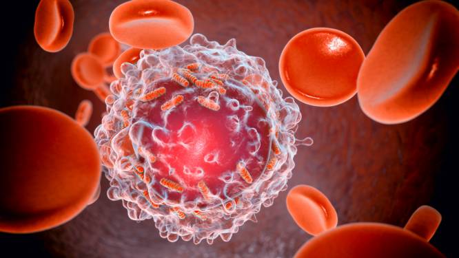 ‘Leukemie is vaak domme pech, zelfs mensen die supergezond leven kunnen het krijgen’