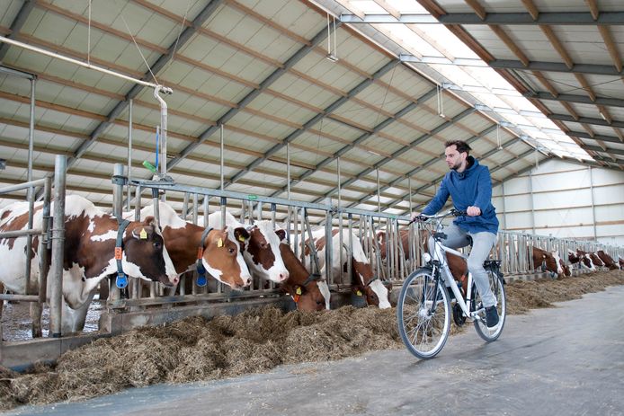 Vorig jaar konden bezoekers door boerderij Mariahoeve in Oxe heen fietsen tijdens Hemelvaart.