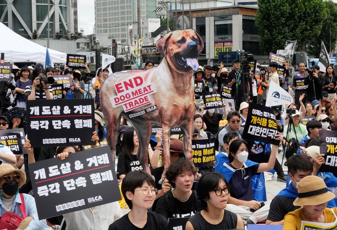 Enkele maanden geleden was er nog een betoging in Seoel tegen de traditie van het eten van hondenvlees in Zuid-Korea.