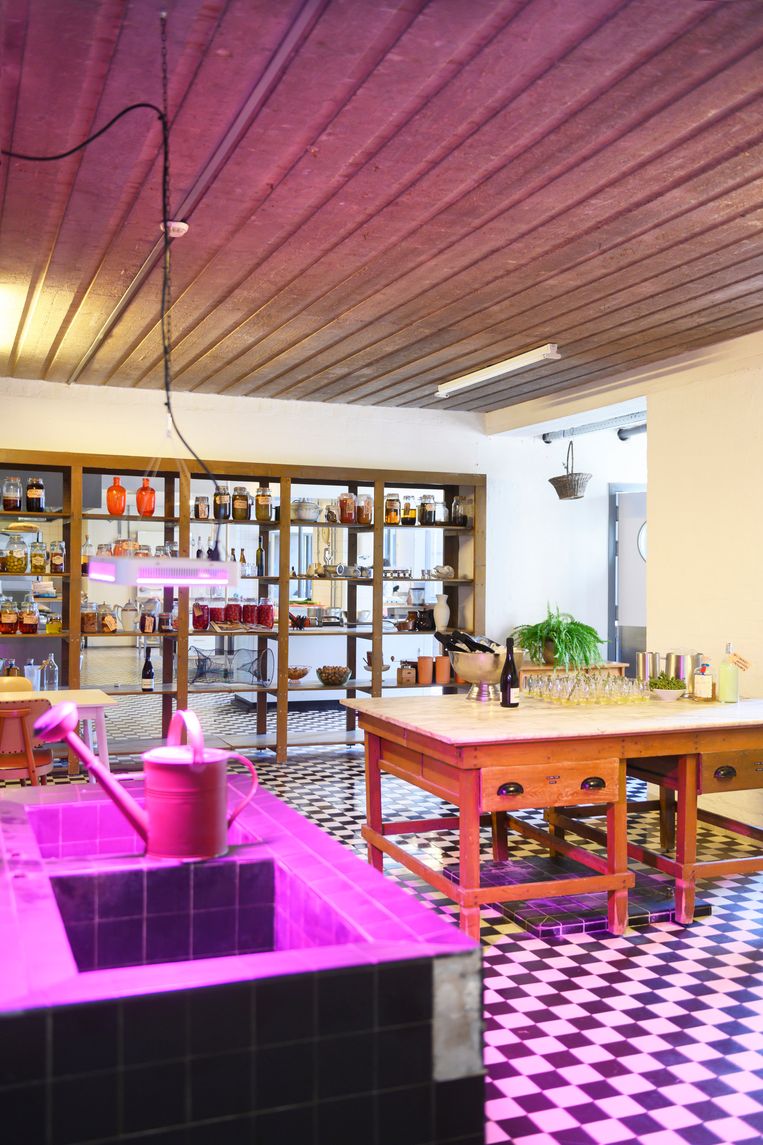 Restaurant De Zusters op Buitenplaats Doornburgh Beeld Els Zweerink