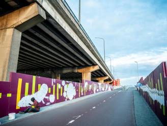 Indrukwekkende muurschildering siert IJzerlaanfietsbrug over Albertkanaal