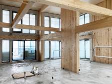 Roep om meer hout in woningbouw zwelt aan